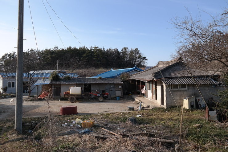 우비 마을의 기와집과 마당의 모습