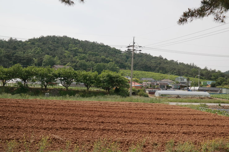 밭이 보이는 마을 전경