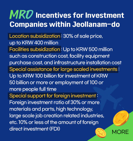 MRO Incentives for Investment  Companies within Jeollanam-do