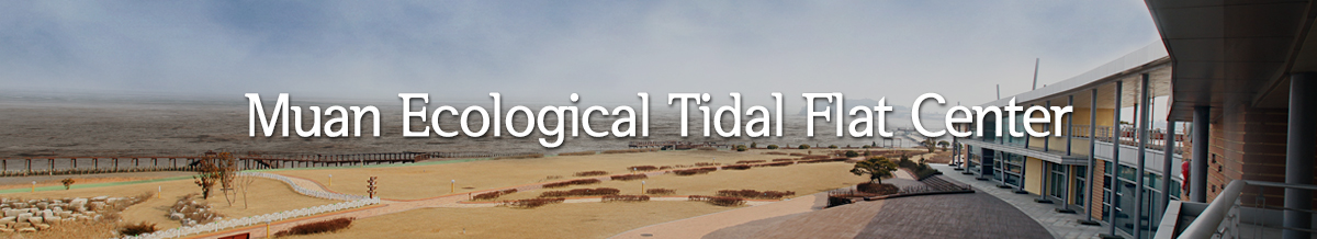 Muan Ecological Tidal Flat Center