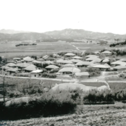 일로읍 복용촌 마을 전경(아랫마을)