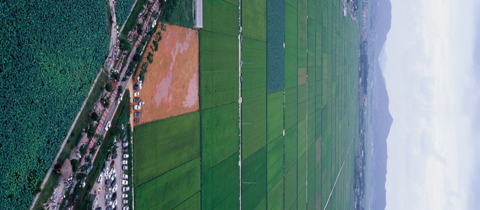 2006년 회산백련지 주변 전경 (항공사진)