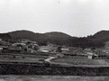 무안읍 용월리 상동마을