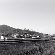 삼향읍 옥암리 장재동마을